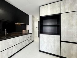 The Rise @ Oxley (D9), Condominium #457149021